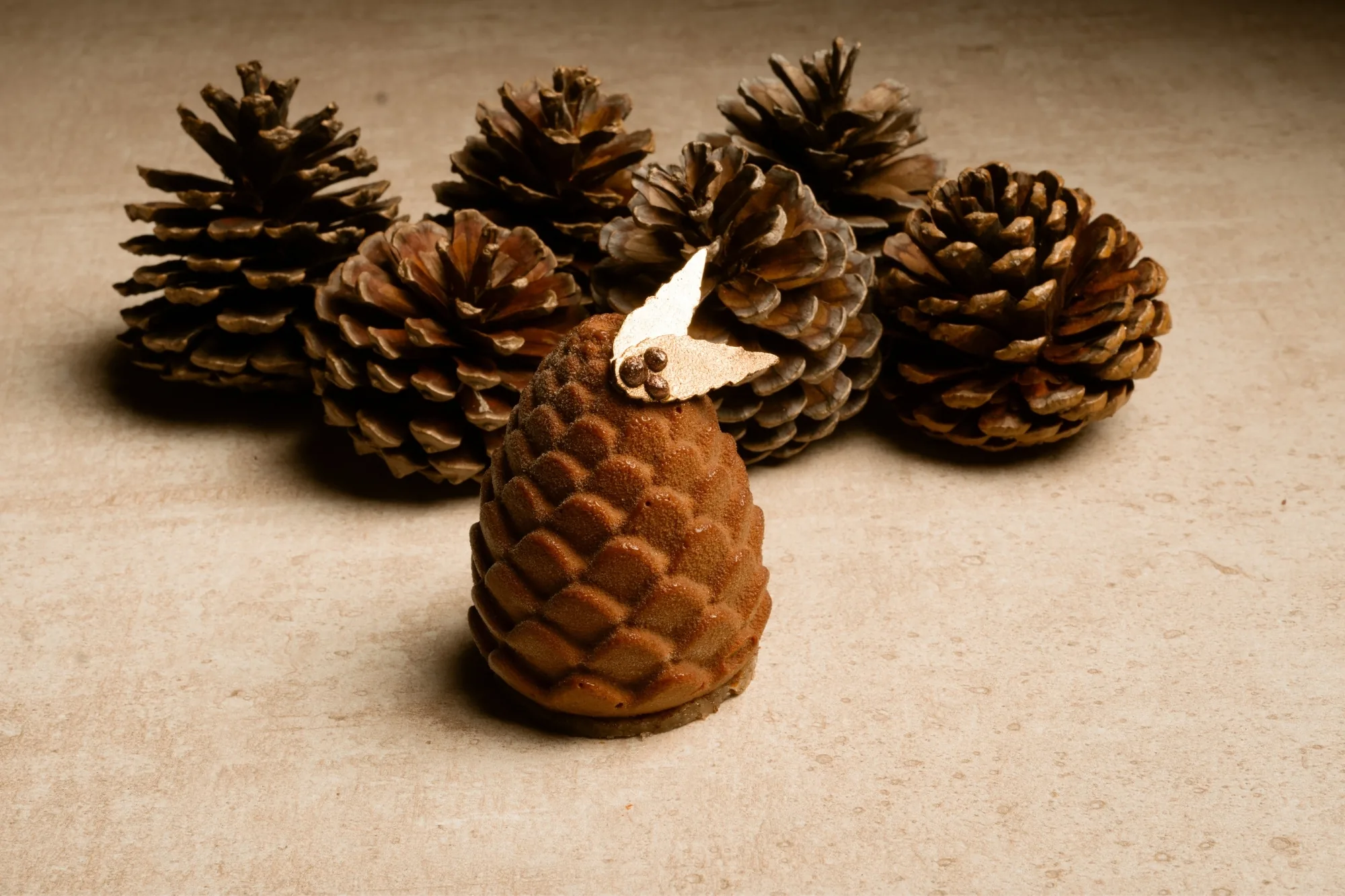 piña de pino colecciones pizca