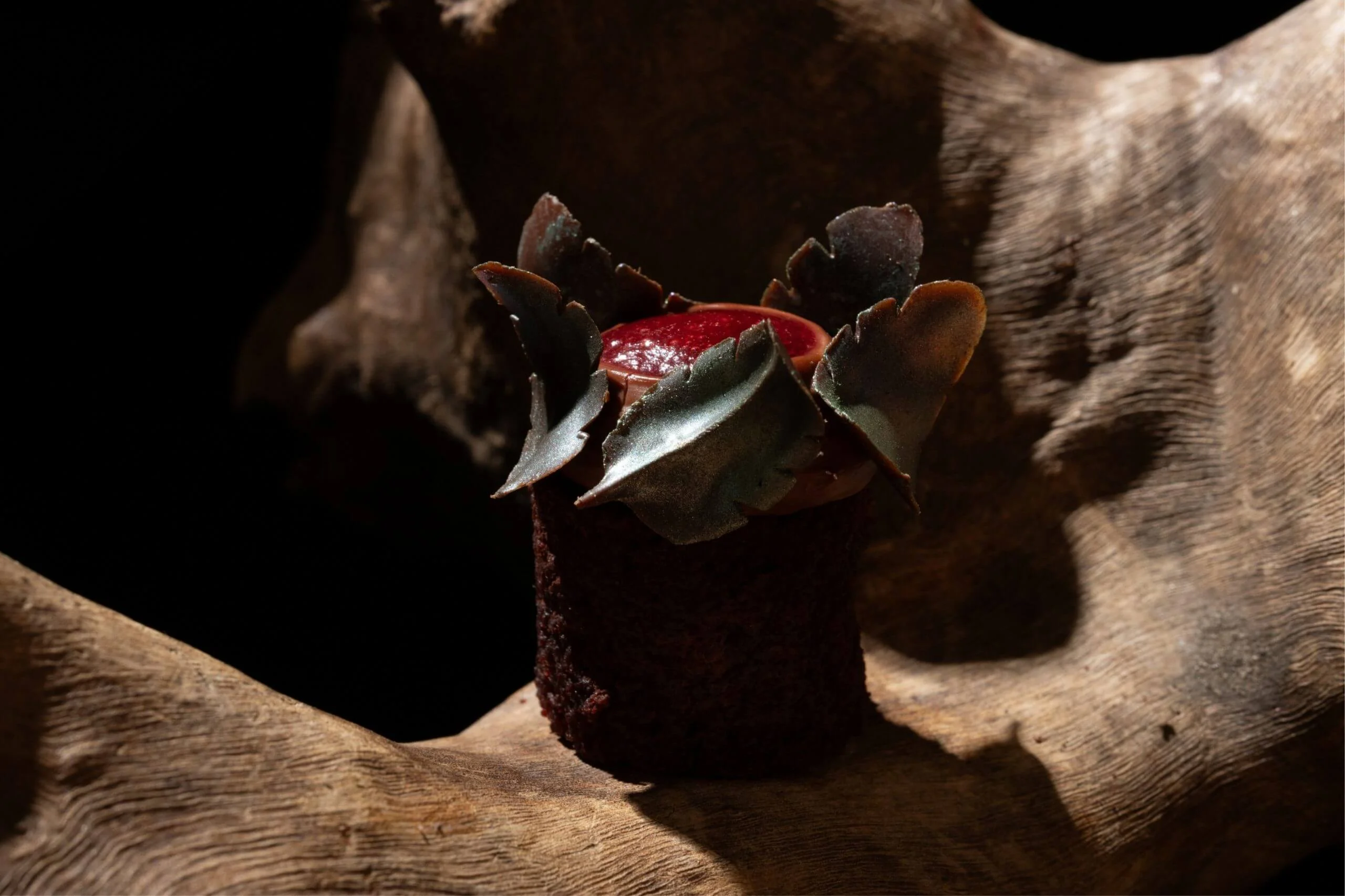 mini quetzal colecciones pizca