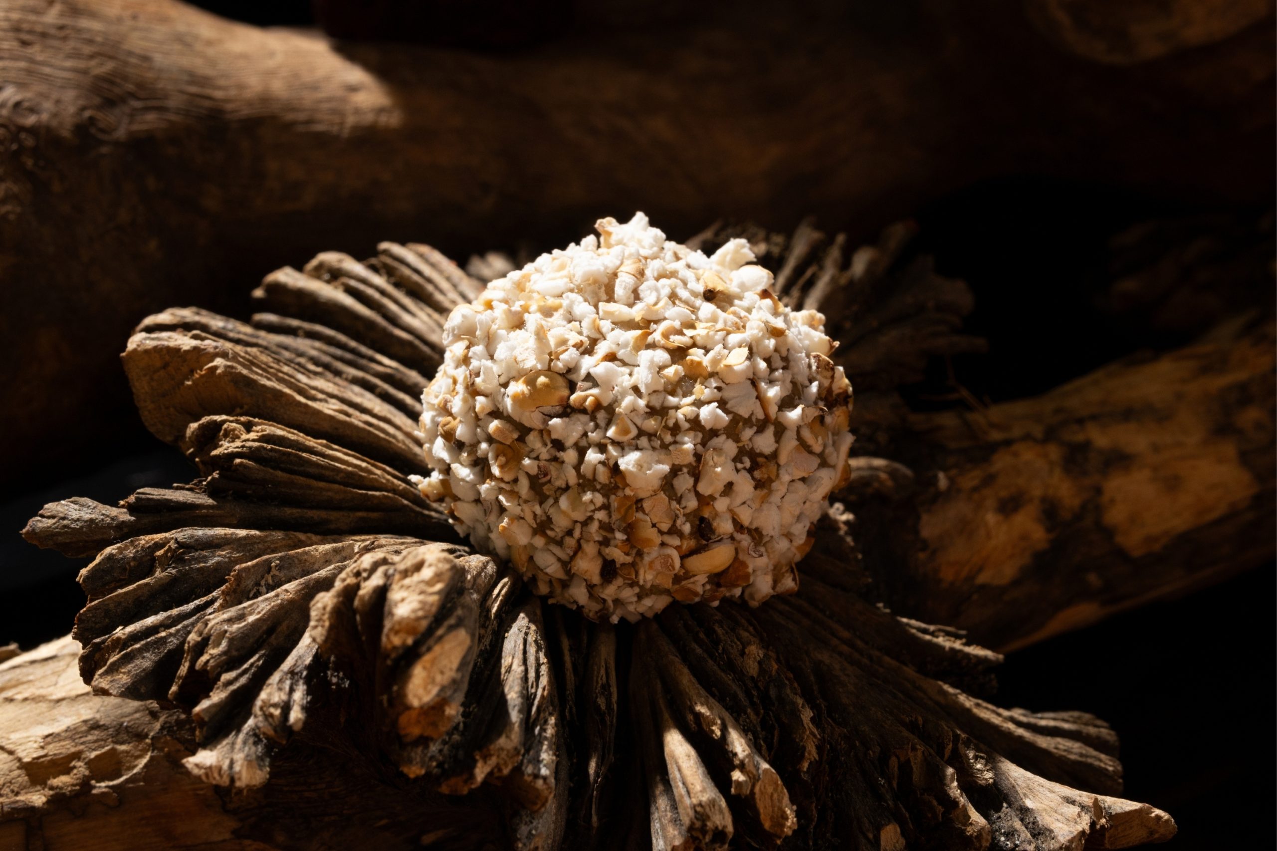 trufa colecciones pizca