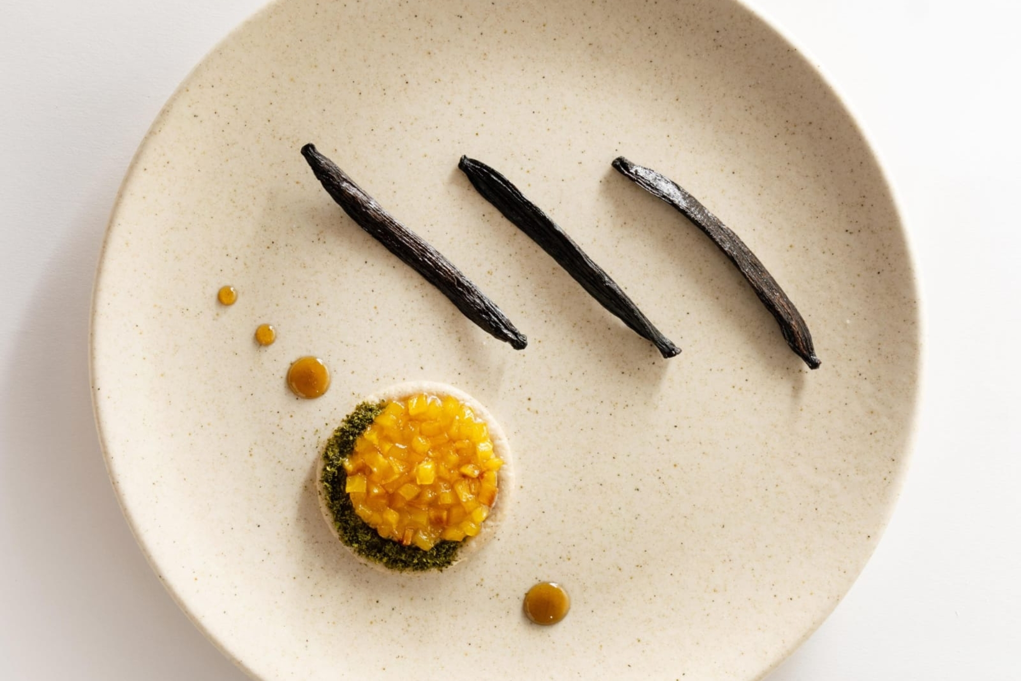 Vainilla cribbiana colecciones pizca