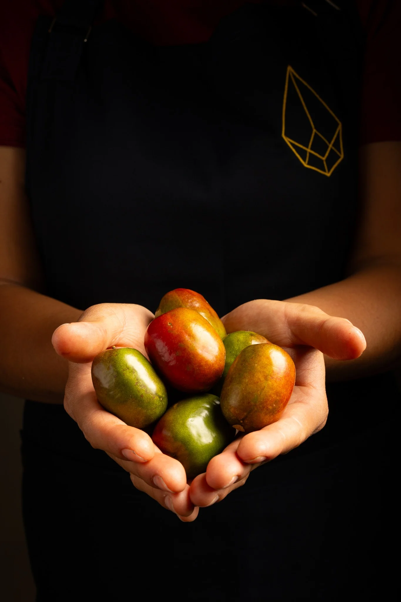 Frutas de mesoamérica