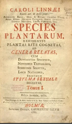Frutas de Mesoamérica