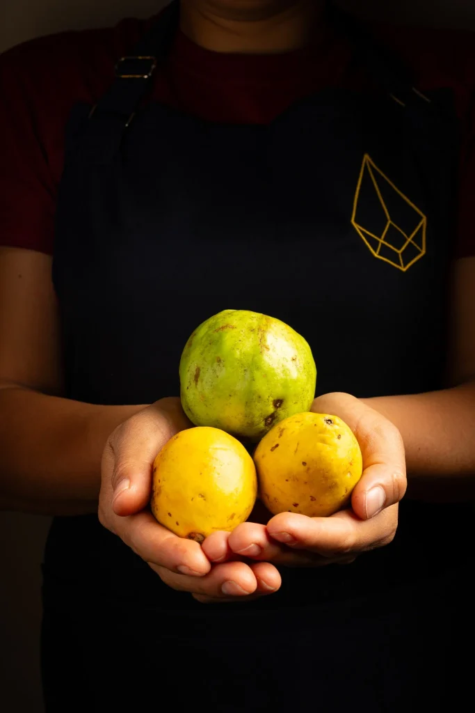 Los frutos de Mesoamérica