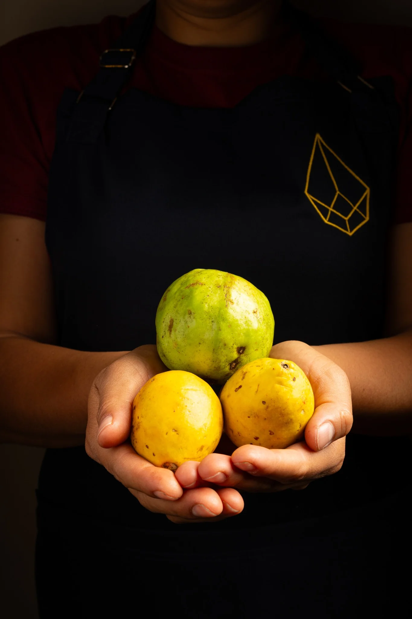 Los frutos de Mesoamérica